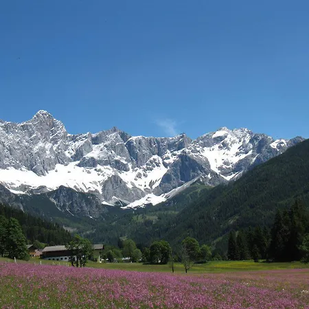 Feriengut Lackenhof Séjour à la ferme *