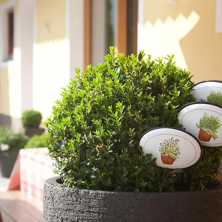 Farmház Feriengut Lackenhof