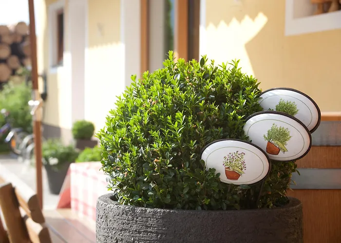 Lantgård Feriengut Lackenhof